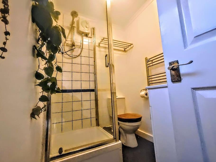 Cute Cottage 4 Mins From Cafes Station And Sea St Leonards-on-Sea المظهر الخارجي الصورة