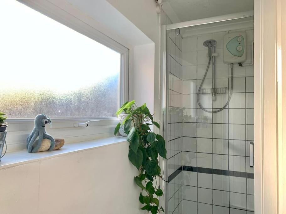 Cute Cottage 4 Mins From Cafes Station And Sea St Leonards-on-Sea المظهر الخارجي الصورة